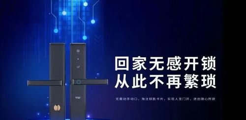 王力安防（605268）未來五年投資價值深度分析